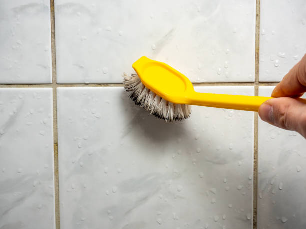 Best Mold Remediation  in Teaticket, MA