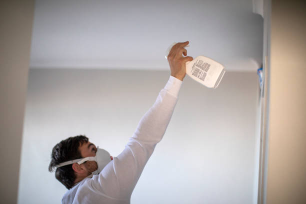 Office Mold Removal Services in Teaticket, MA