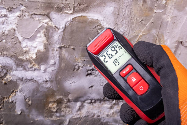 Best Mold Testing  in Teaticket, MA
