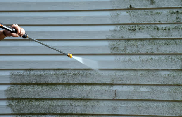 Best Residential Mold Removal  in Teaticket, MA