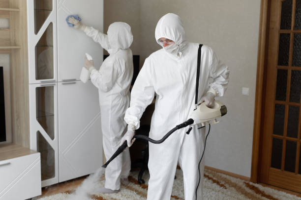 Best Mold Cleaning Services  in Teaticket, MA