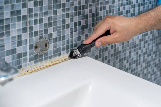 Best Fast Mold Removal  in Teaticket, MA