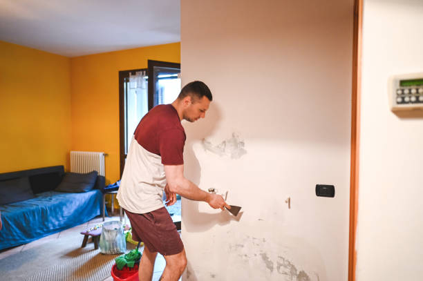 Best Attic Mold Removal  in Teaticket, MA